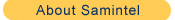 About Samintel